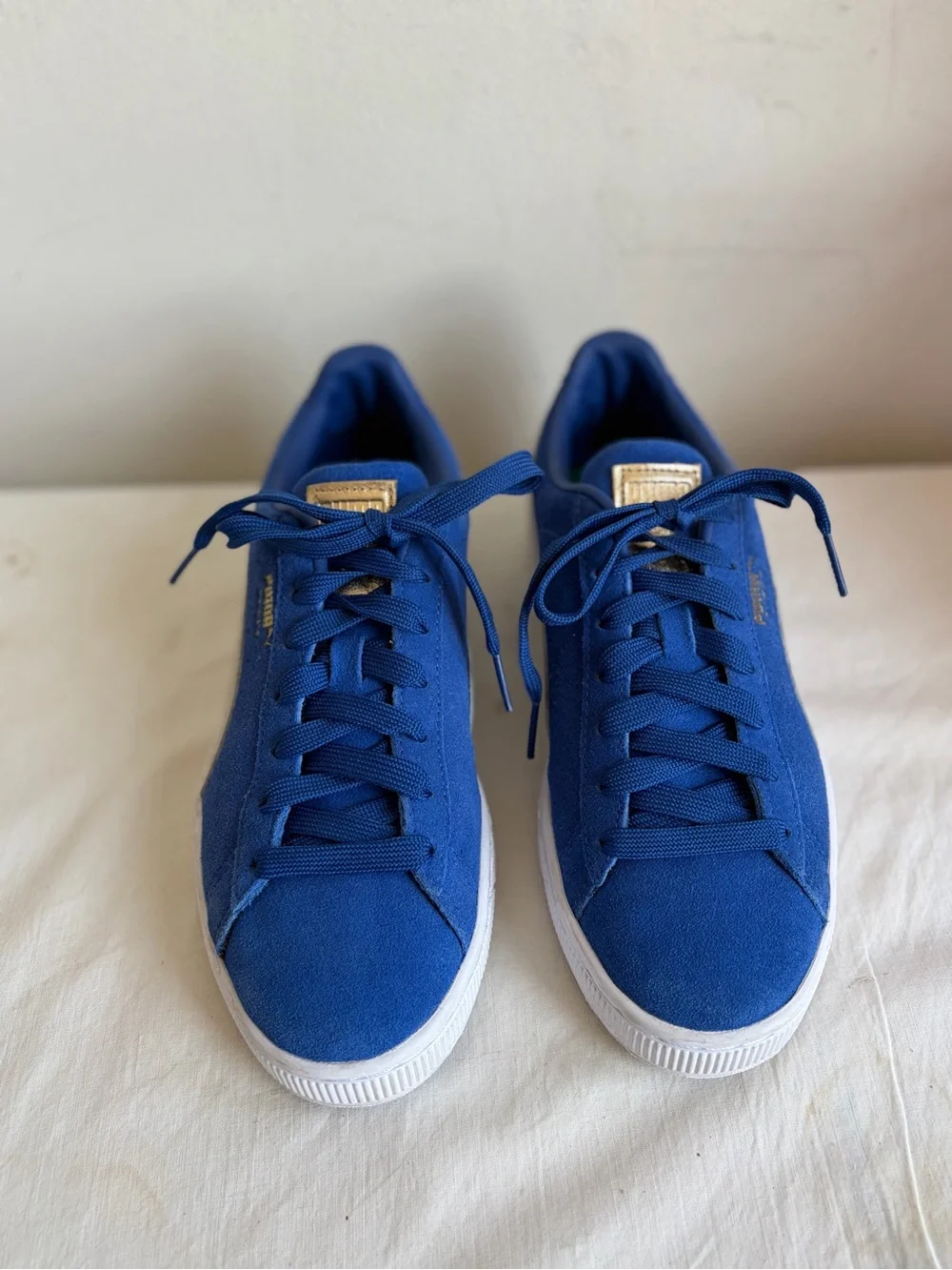 PUMA Suede Classic Pastime Surf The Web Blue Suede Low Top Blue/White 387060-02